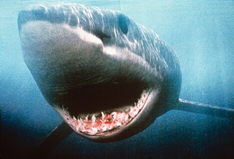 「ディープ・ライジング-コンクエスト-」 (c)2002 NU IMAGE,INC. ALL RIGHTS RESERVED