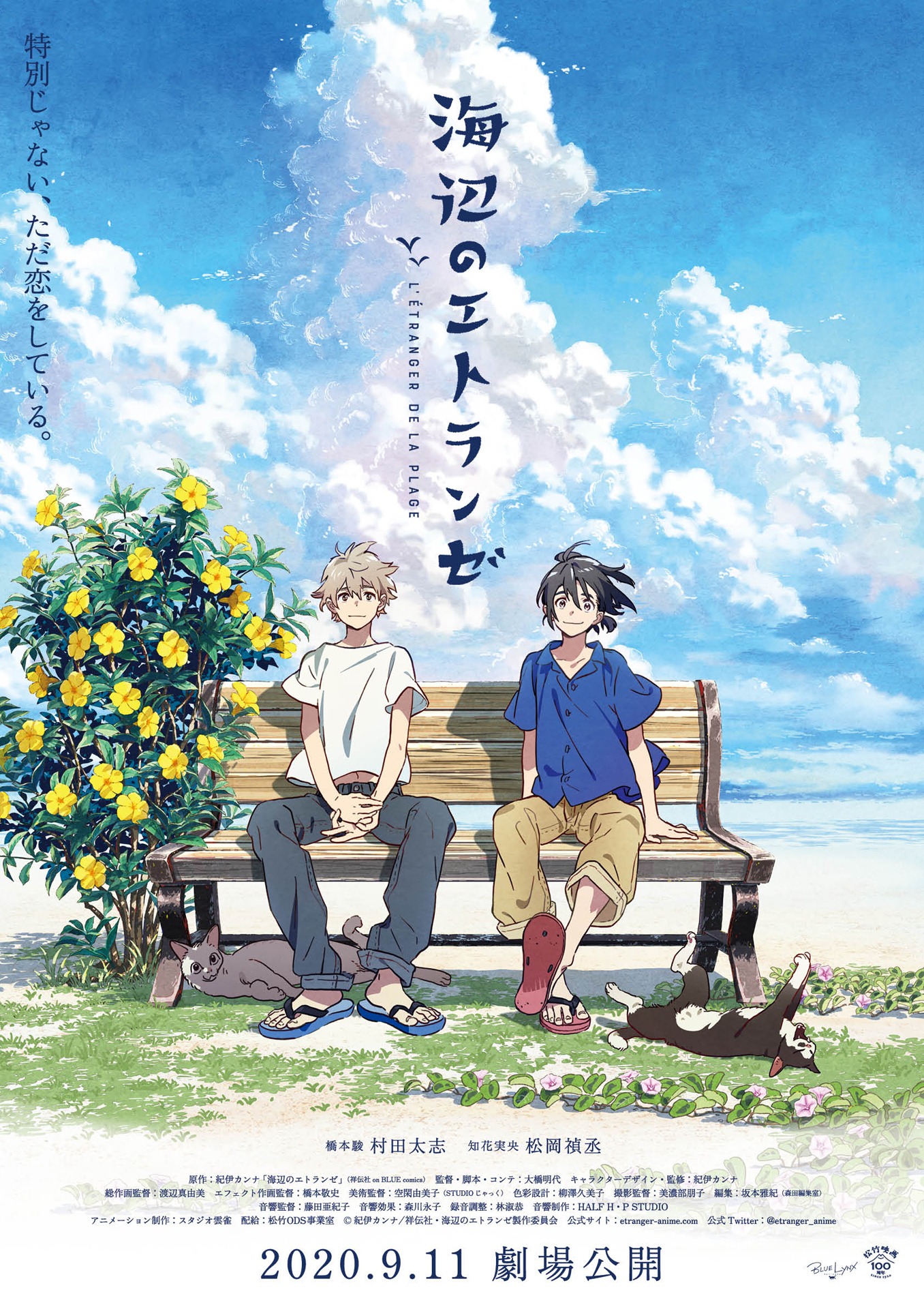 「海辺のエトランゼ」ティザービジュアル