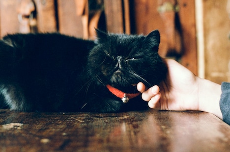 「HiM Films」アザーカット