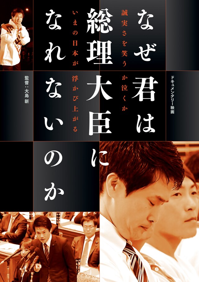 「なぜ君は総理大臣になれないのか」フライヤービジュアル