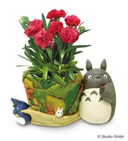 そらのうえ店限定の、となりのトトロ “葉っぱあつめ”とカーネーションセット。（送料込・税込7150円）