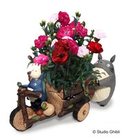 となりのトトロ“トトロと森の三輪車と”マジカルチュチュセット（送料込・税込7260円）