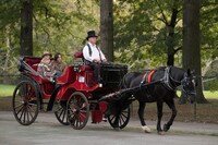 「レイニーデイ・イン・ニューヨーク」