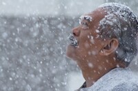 「アジア三面鏡2016：リフレクションズ」より、「SHINIUMA Dead Horse」。