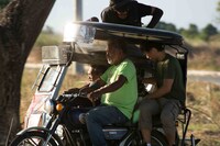 「アジア三面鏡2016：リフレクションズ」より、「SHINIUMA Dead Horse」。