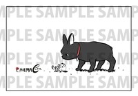 片渕須直と浦谷千恵の共作イラスト入りポストカード。