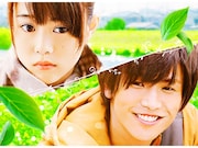 「植物図鑑 運命の恋、ひろいました」ビジュアル (c)2016「植物図鑑」製作委員会