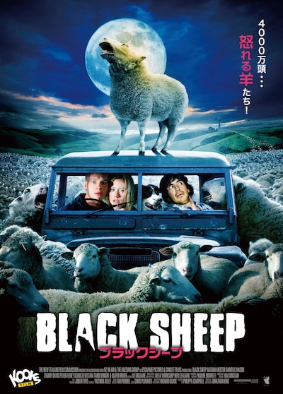 「ブラックシープ」ビジュアル