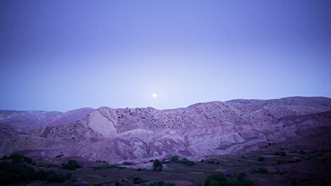 「ハウス・イン・ザ・フィールズ」