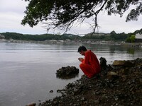 「男たちの馬歌 ～悪魔祓いの島変～」