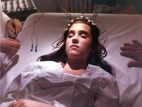 「フェノミナ」