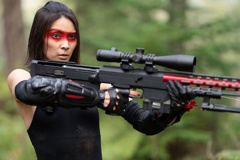 「山猫は眠らない8 暗殺者の終幕」