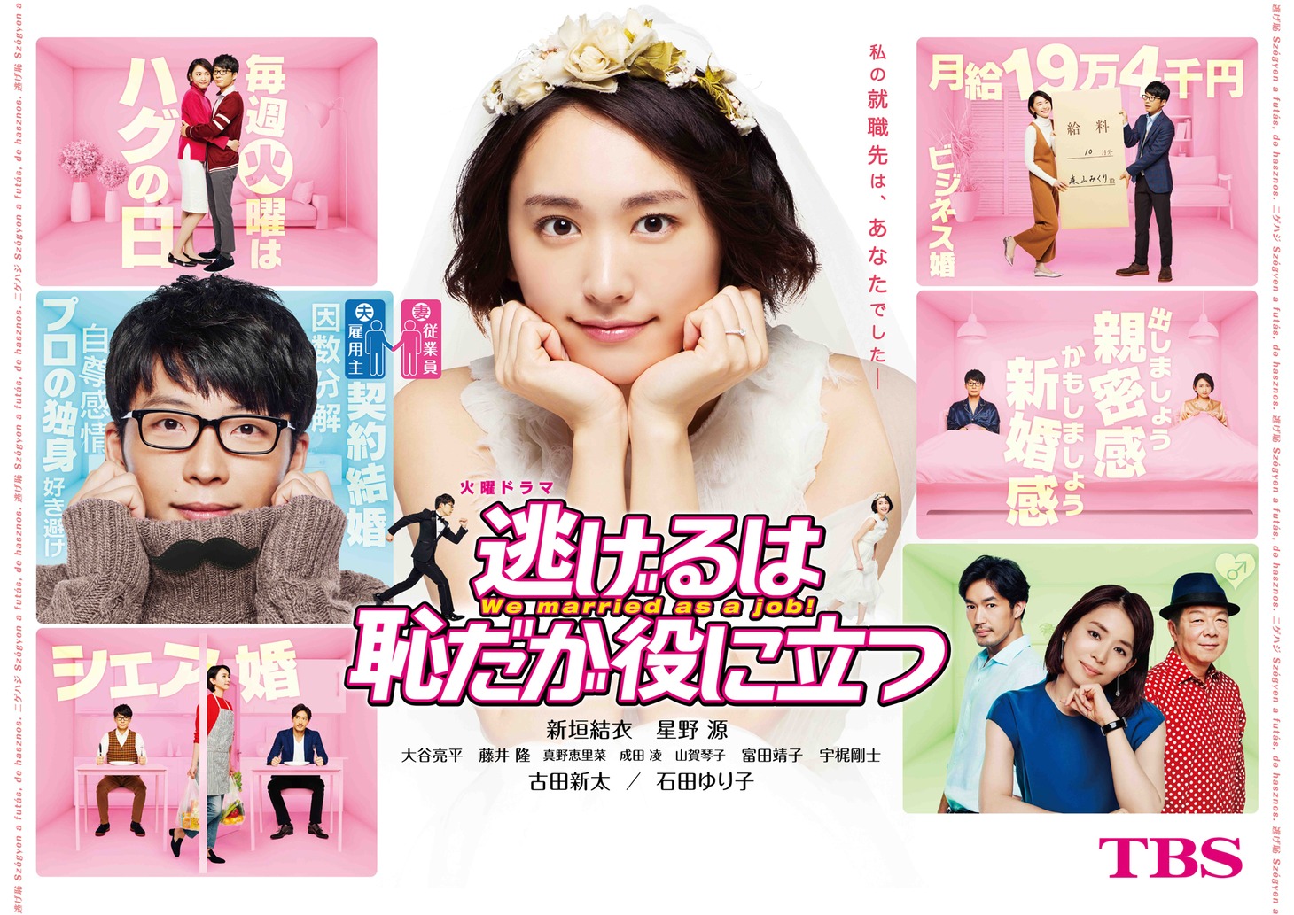 「逃げるは恥だが役に立つ」ビジュアル