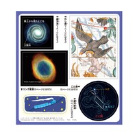 ミニ図鑑「星と星座／夏の星空」