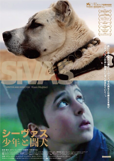 「シーヴァス 少年と闘犬」ポスター