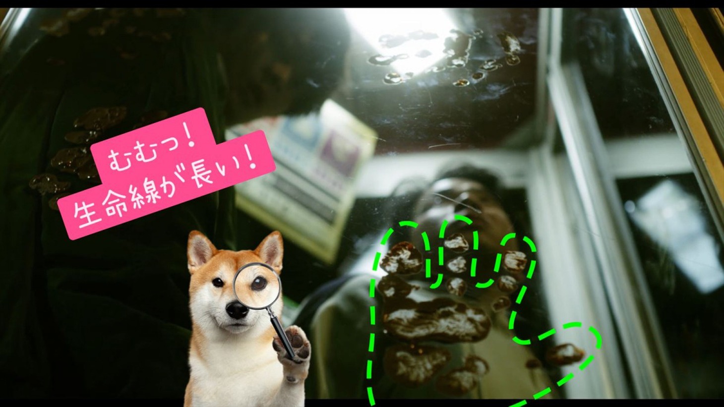 「犬鳴村 恐怖回避ばーじょん 劇場版」