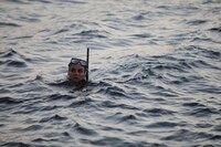 「WASP ネットワーク」