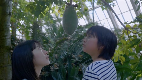 「散歩する植物」