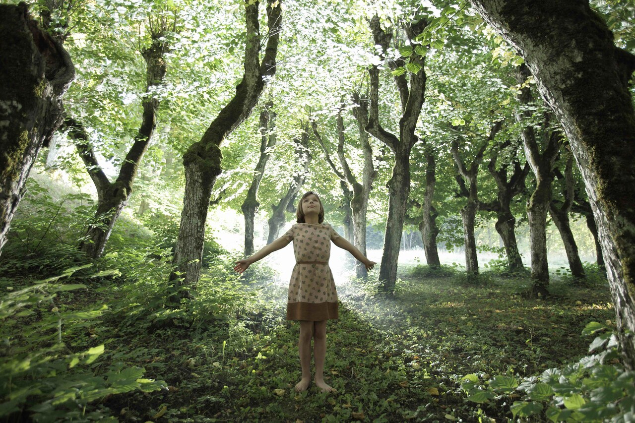 EUフィルムデーズ2020はオンラインで開催、日本未公開7本を含む21作品配信