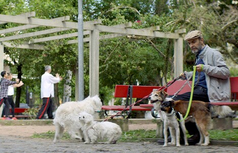 「ぶあいそうな手紙」