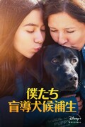 「僕たち盲導犬候補生」ビジュアル (c) 2020 Disney