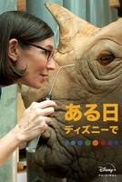 「ある日ディズニーで」ビジュアル (c) 2020　Disney