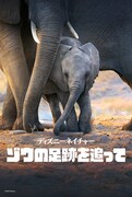 「ディズニーネイチャー/ゾウの足跡を追って」ビジュアル (c) 2020 Disne