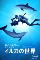「ディズニーネイチャー／知られざるイルカの世界」ビジュアル (c) 2020　Disney
