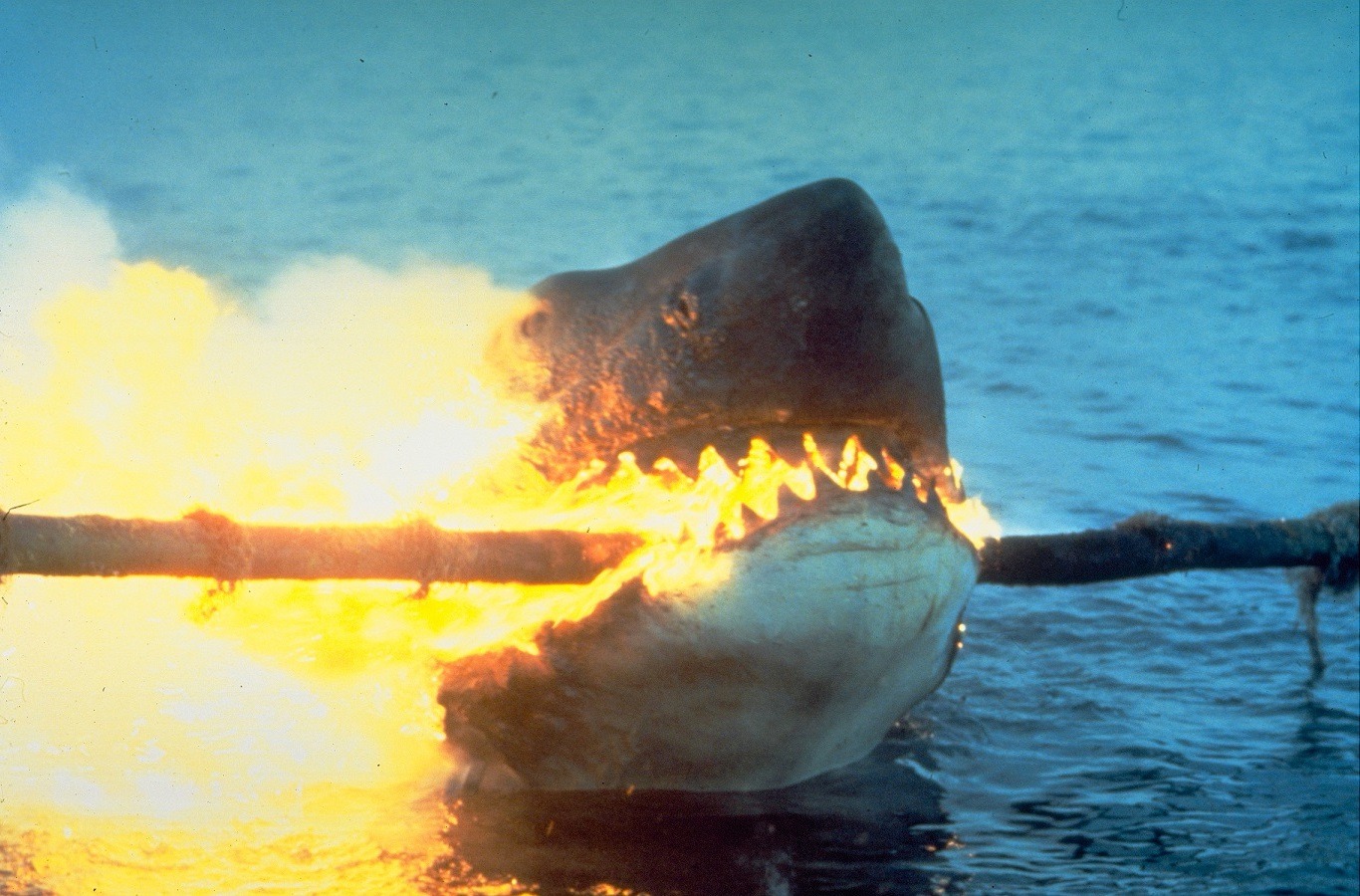 「ジョーズ2」 (c)1978 Universal Studios. All Rights Reserved.