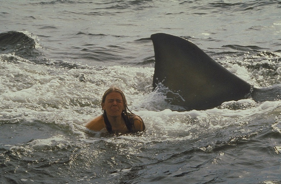 「ジョーズ2」 (c)1978 Universal Studios. All Rights Reserved.
