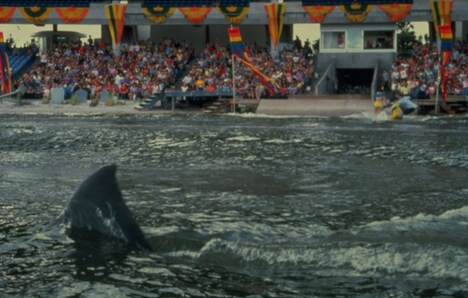 「ジョーズ3」 (c)1982 Universal City Studios LLC. All Rights Reserved.