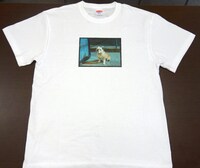 「パターソンTシャツ/ white」