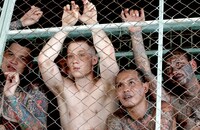 「暁に祈れ」 (c) 2017 - Meridian Entertainment - Senorita Films SAS