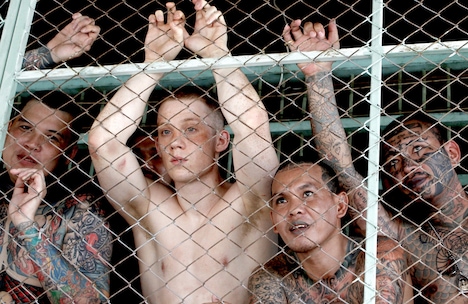 「暁に祈れ」 (c) 2017 - Meridian Entertainment - Senorita Films SAS