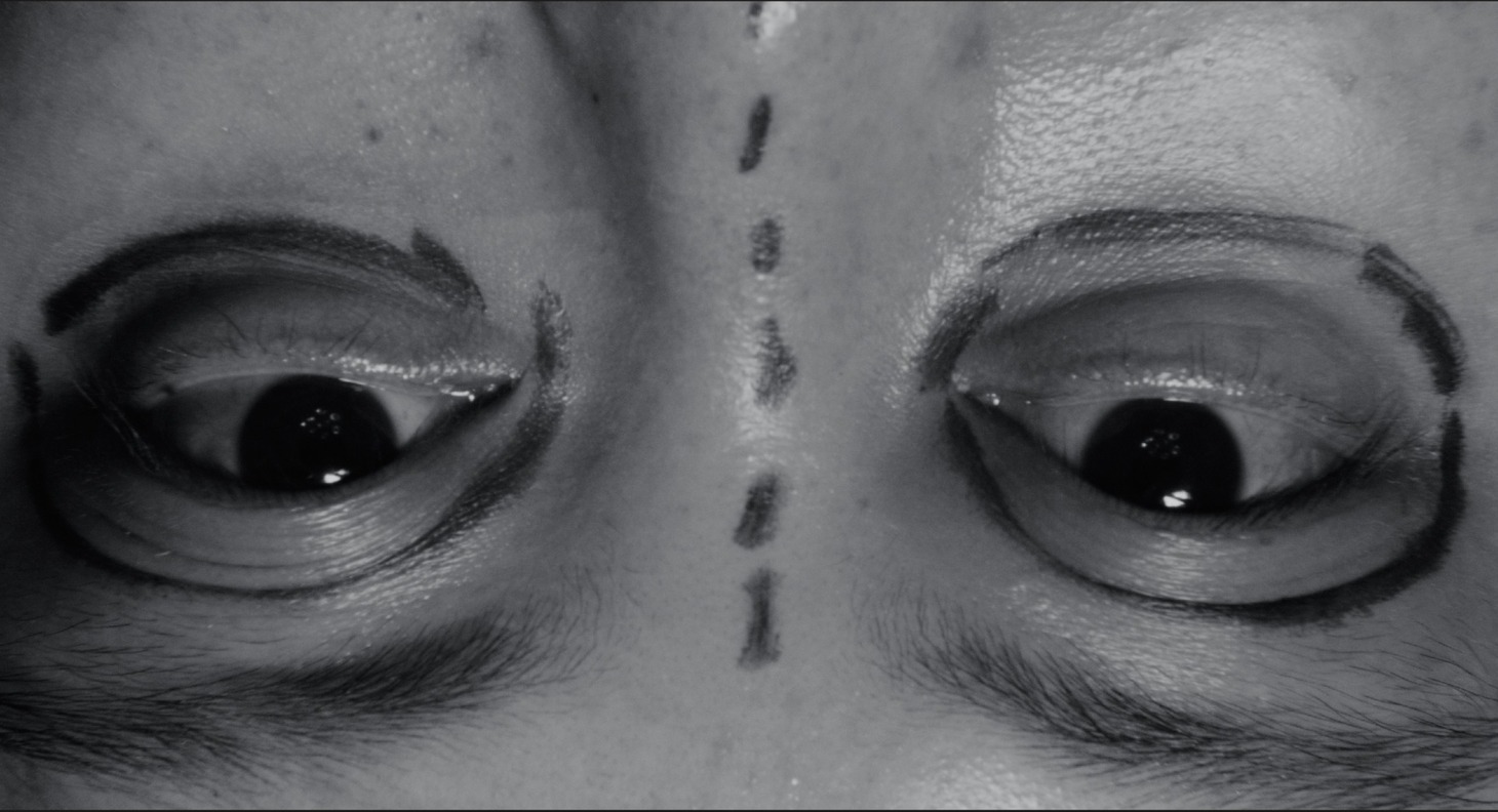 「VIDEOPHOBIA」