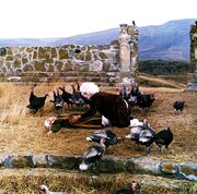 「スラム砦の伝説」