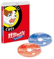 「木更津キャッツアイ ワールドシリーズ」Blu-ray展開図