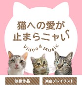 auスマートパス「ネコ特集」ビジュアル