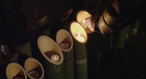 「れいこいるか」