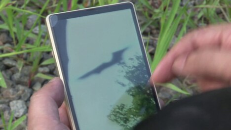 「虚空門 GATE」