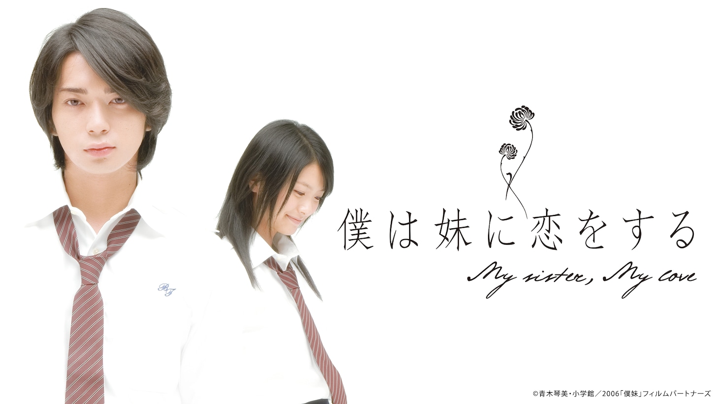 「僕は妹に恋をする」ビジュアル