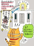 イラスト / 松崎りえこ