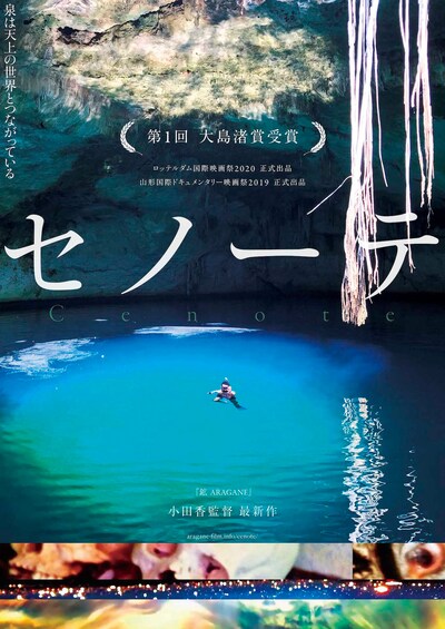 「セノーテ」ポスタービジュアル