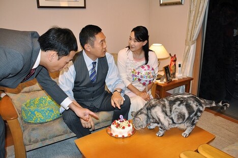 猫用に作られたケーキの匂いをかぐ黒豆（手前）。