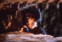 「スパルタンX」