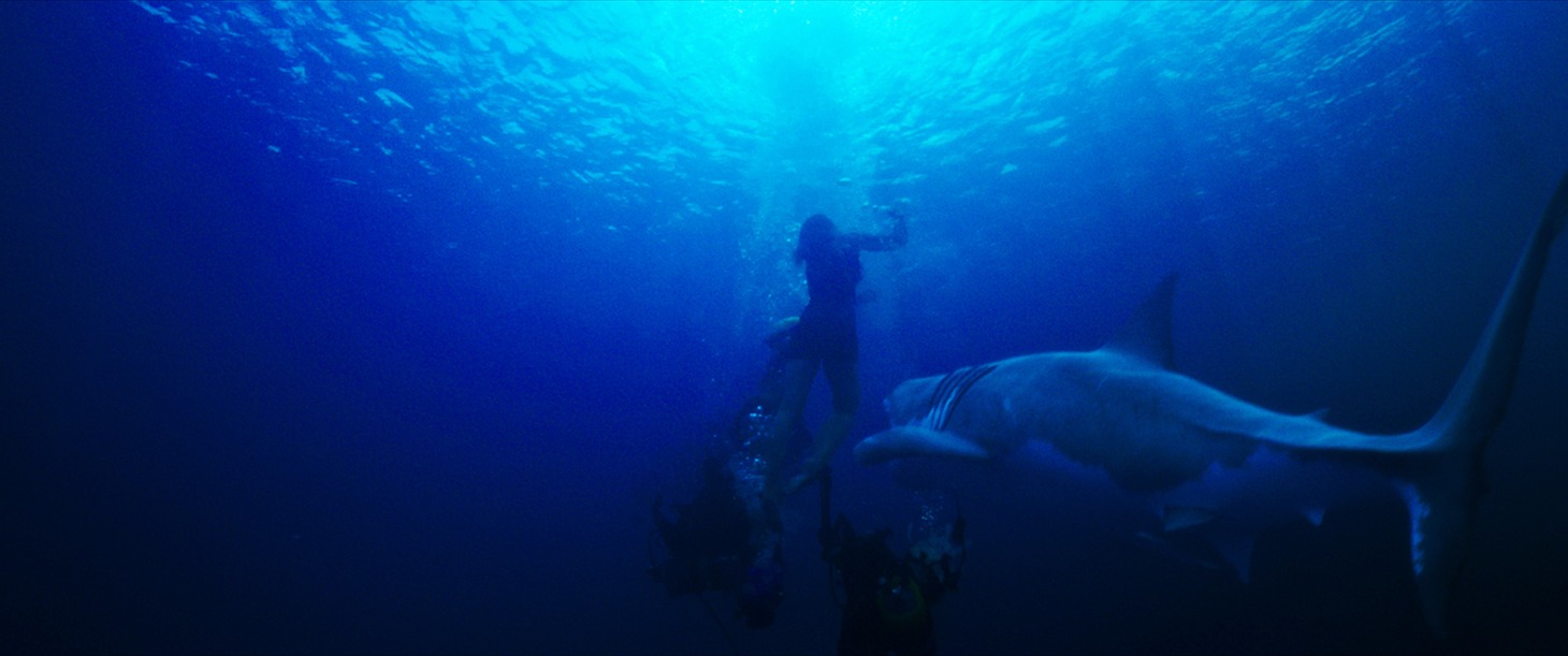 「海底47m」 (c)47 DOWN LTD 2016, ALL RIGHTS RESERVED