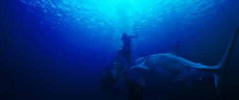 「海底47m」 (c)47 DOWN LTD 2016, ALL RIGHTS RESERVED