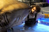 「ディープ・ブルー2」 (c)Warner Bros. Entertainment Inc.