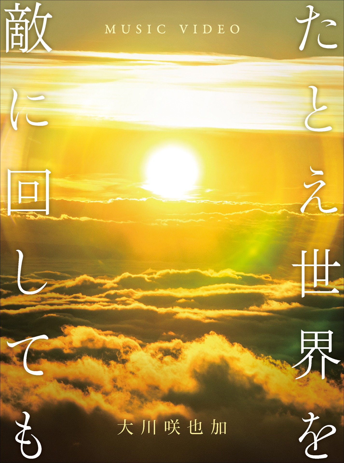「たとえ世界を敵に回しても」DVDジャケット
