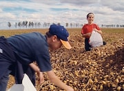 「落穂拾い」 (c)cine tamaris 2000